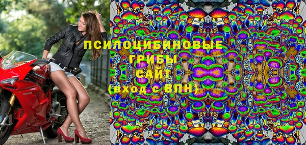 стаф Абаза