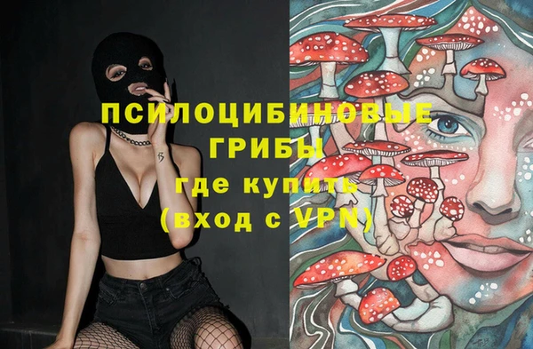 стаф Абаза