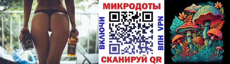 Псилоцибиновые грибы Magic Shrooms  ссылка на мегу маркетплейс  Новоалександровск  купить наркоту 