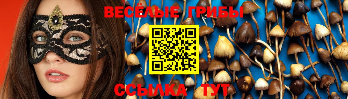 Галлюциногенные грибы мухоморы  где продают наркотики  Новоалександровск  Вход с VPN 