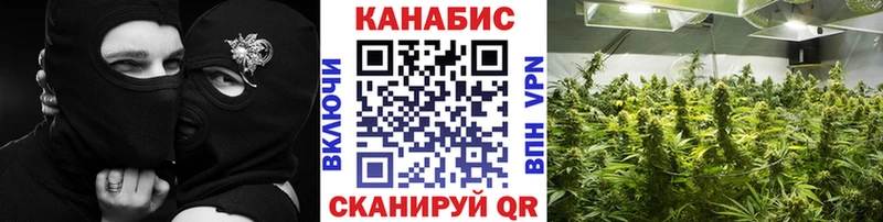 цена наркотик  Новоалександровск  Конопля конопля 